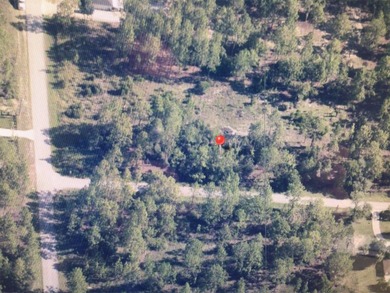 Bonable Lake Lot For Sale in Dunnellon Florida