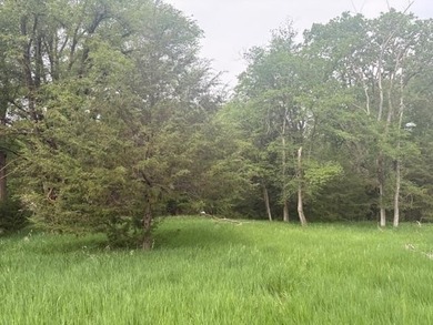 Build the home you've always imagined on this beautiful 3.5-acre - photo 2