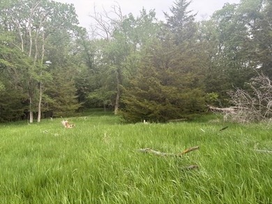 Build the home you've always imagined on this beautiful 3.5-acre - photo 3
