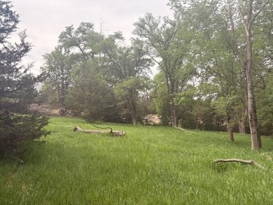 Build the home you've always imagined on this beautiful 3.5-acre - photo 5