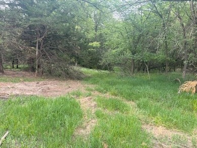 Build the home you've always imagined on this beautiful 3.5-acre - photo 8