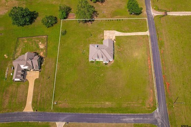 Listed below market value. Want a Texas-sized lot in a gorgeous
