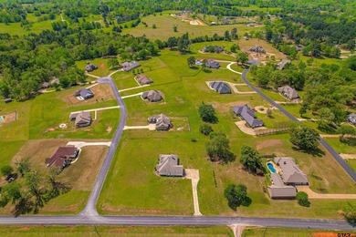 Listed below market value. Want a Texas-sized lot in a gorgeous