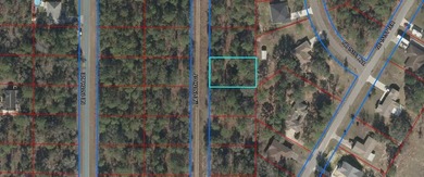 Vacant residential lot of 0.23 acres to build your dream home in - photo 1