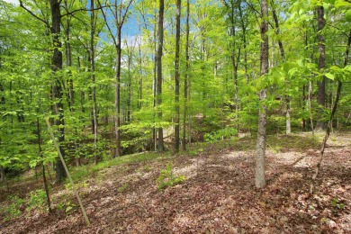 Lake Lot For Sale in Nineveh, Indiana