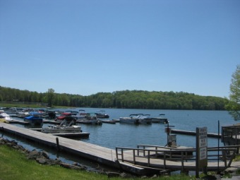 Gentle sloping lot with a seasonal lake view  - Lake Lot For Sale in Du Bois, Pennsylvania