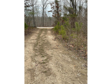 Clearwater Lake Acreage For Sale in Piedmont Missouri