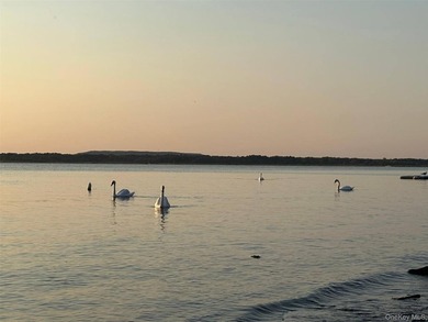 Welcome to The Swan House! Indulge in the serenity of being - photo 4