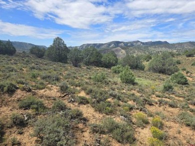  Acreage For Sale in Pagosa Springs Colorado