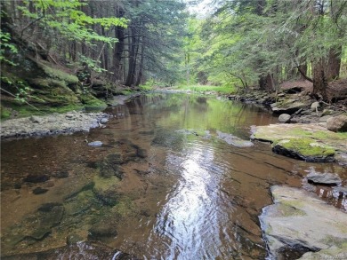 (private lake, pond, creek) Acreage For Sale in Parksville New York