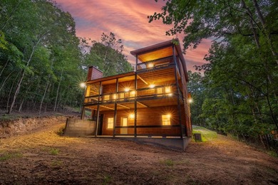 Toccoa River - Fannin County Home For Sale in Blue Ridge Georgia