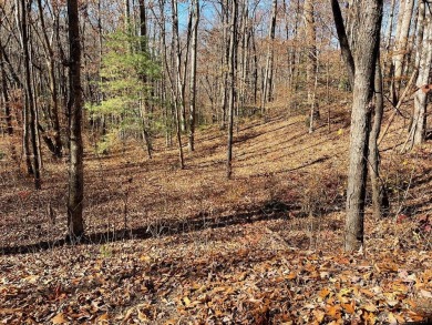 Lake Acreage For Sale in Hayesville, North Carolina