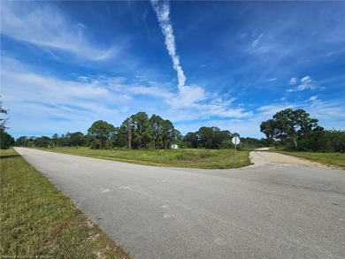 Lake Grassy Lot For Sale in Lake Placid Florida