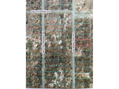 Bonable Lake Lot For Sale in Dunnellon Florida