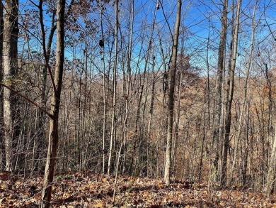 Lake Acreage For Sale in Hayesville, North Carolina