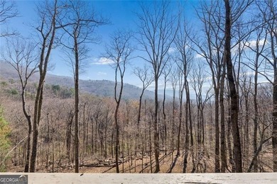 MOUNTAIN VIEWS FROM EVERY ROOM WITH PRIMARY ON MAIN, TERRACE - photo 9