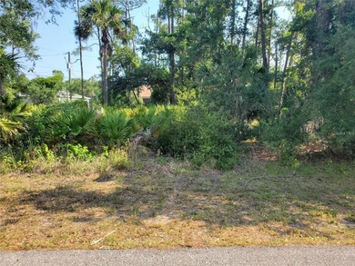 Port Charlotte Waterway Area Lot For Sale in Port Charlotte Florida