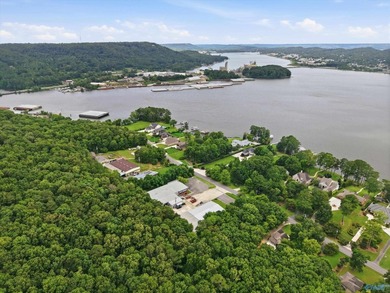 Located in the city of Guntersville, Industrial District. 2 - photo 11