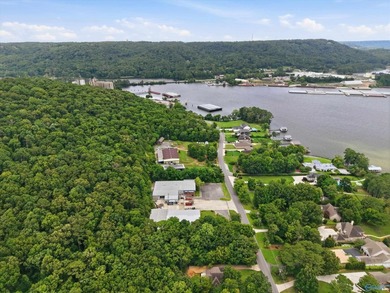 Located in the city of Guntersville, Industrial District. 2 - photo 12