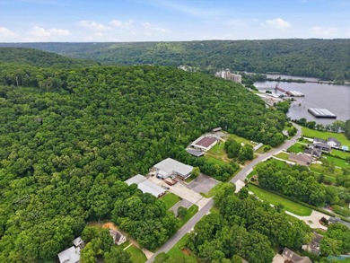 Located in the city of Guntersville, Industrial District. 2 - photo 13