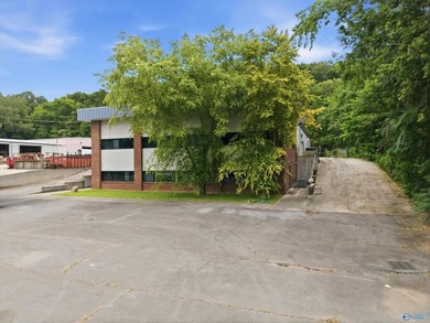 Located in the city of Guntersville, Industrial District. 2 - photo 15