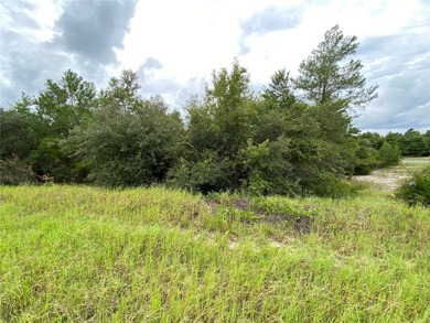 Lake Marion - Polk County Lot For Sale in Kissimmee Florida