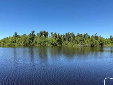 North Fork Flambeau River Lot For Sale in Park Falls Wisconsin