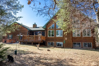 Located in Big Bay on beautiful Lake Petenwell, this spacious - photo 3