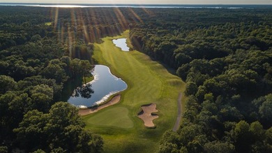 Premier Lakes Course Home Site! Sweeeeeet! Yes, you can have it - photo 5