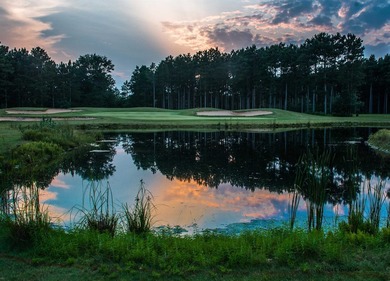 Premier Lakes Course Home Site! Sweeeeeet! Yes, you can have it - photo 8