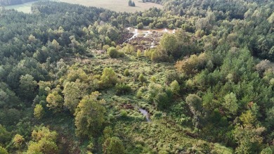 WELCOME TO THE PONTOTOC 34.2-A BEAUTIFUL TRACT LOCATED IN - photo 11