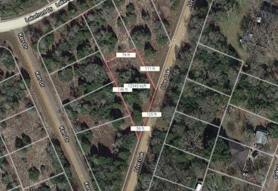 Lake Tonkawa Lot For Sale in Normangee Texas
