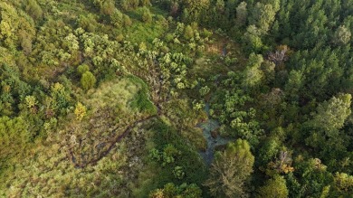 WELCOME TO THE PONTOTOC 34.2-A BEAUTIFUL TRACT LOCATED IN - photo 12