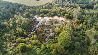 WELCOME TO THE PONTOTOC 34.2-A BEAUTIFUL TRACT LOCATED IN - photo 14