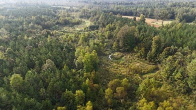 WELCOME TO THE PONTOTOC 34.2-A BEAUTIFUL TRACT LOCATED IN - photo 16