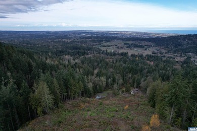 Set on over 5 private acres, this distinctive 2270sf home blends - photo 59