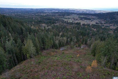 Set on over 5 private acres, this distinctive 2270sf home blends - photo 60
