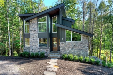 Lake Blue Ridge Home For Sale in Blue Ridge Georgia