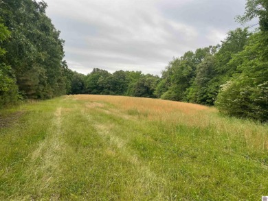 Kentucky Lake Acreage For Sale in New Concord Kentucky