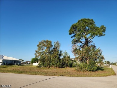 This prime corner lot offers a fantastic opportunity to build - photo 3