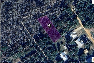 St. Johns River Lot For Sale in Satsuma Florida