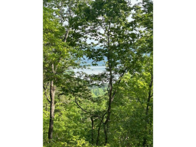 Carters Lake Acreage For Sale in Ranger Georgia