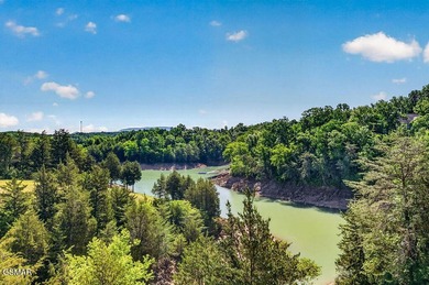 Lakefront on Douglas Lake, 10 miles to downtown Sevierville - photo 39