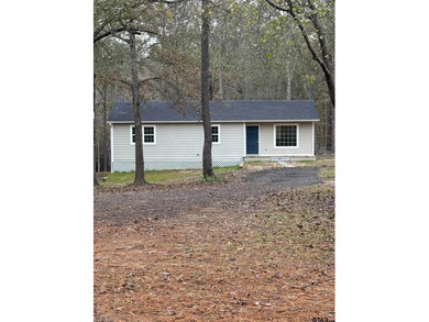 Lower Raintree Lake Home For Sale in Gilmer Texas
