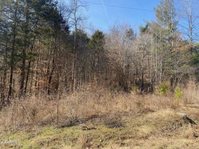 Lake access lot in great community, close to the boat launch - Lake Lot For Sale in Lafollette, Tennessee