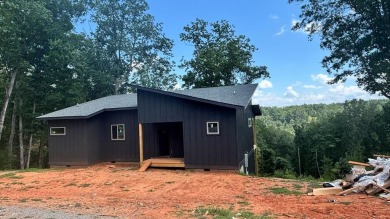 Lake Home For Sale in Ellijay, Georgia