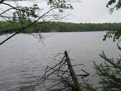 Lake Acreage For Sale in Watersmeet, Michigan