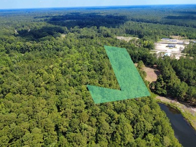 Discover the possibilities with this beautiful vacant homesite - photo 1