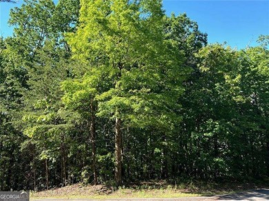 Lake Lot For Sale in Jasper, Georgia