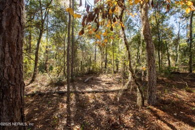 Georges Lake Lot For Sale in Florahome Florida